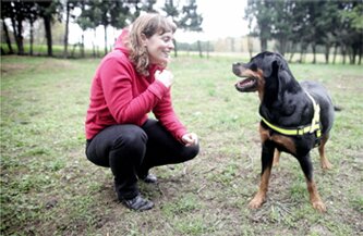 Amicus Canis
