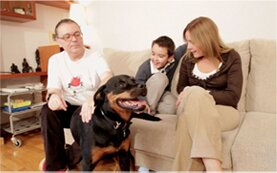 Amicus Canis